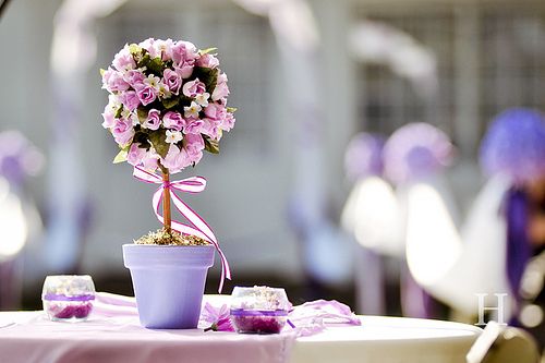 ڕrgƽoښqȥ (3)