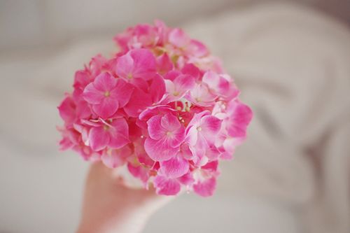 ڕr(sh)gƽoښqȥ (2)