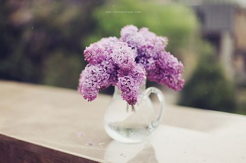 ڕr(sh)gƽoښqȥ (9)