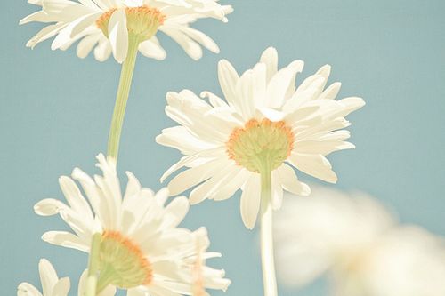 ڕr(sh)gƽoښqȥ (7)