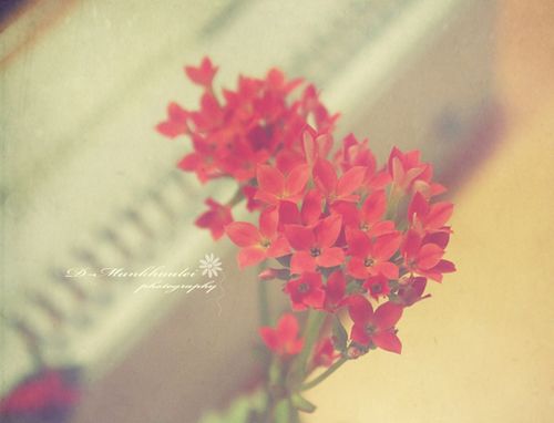 ж扦߀һ(yng) (9)