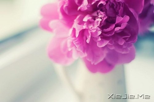 ҪԼҪpԼ (1)