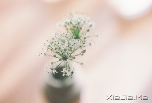 ÿ˶Լů֪ (3)