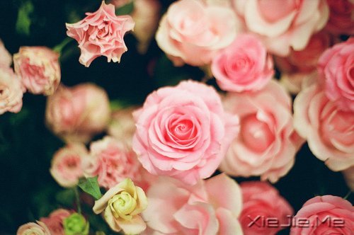 ҲԼ (9)