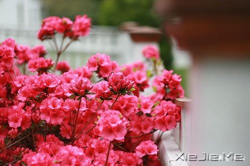_(ki)l(shu)xxl(shu) (6)
