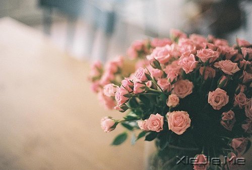 簲Z挦s֚gϲ (6)