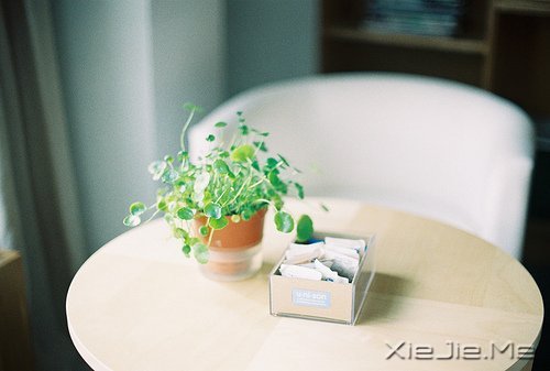 簲Z挦s֚gϲ (8)