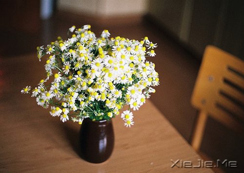 Zÿһഺnϣϣӛһֱ (5)