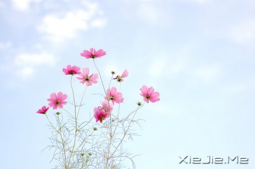 簲Z(y)߽·^(dng)µ (1)