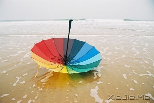 簲Z(y)Ҫ(mng)댍(sh)F(xin)ȏĉ(mng)с (3)