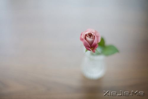簲Z(y)Ҫ(mng)댍(sh)F(xin)ȏĉ(mng)с (4)