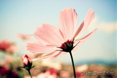 簲Zһ˵ (1)