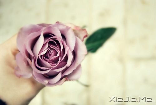 簲Zһ˵ (4)