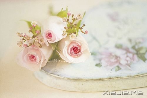 簲Zһ˵ (5)