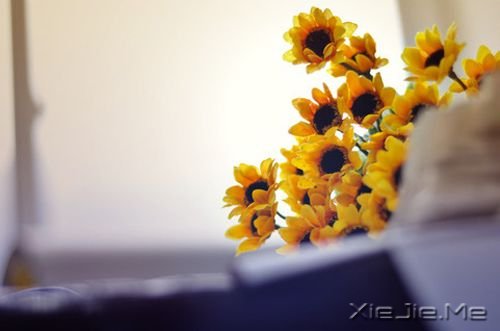 簲Zһ˵ (6)
