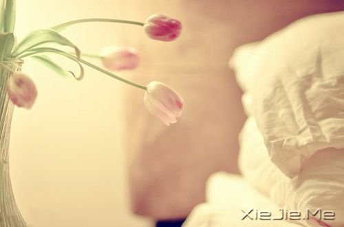 簲Zһ˵ (7)