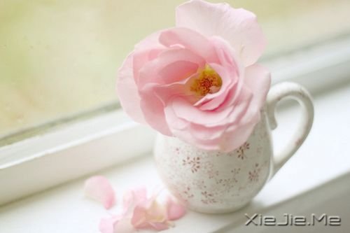 Zഺʹsxo (1)