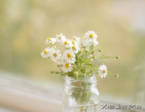 Zഺʹsxo (2)