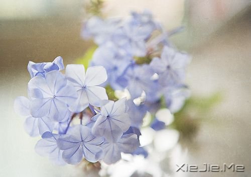 Zഺʹsxo (4)