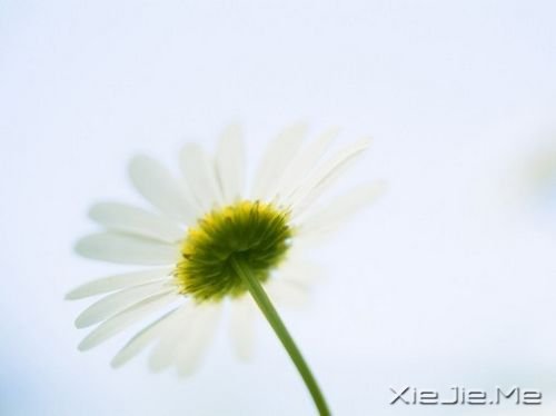 Zഺʹsxo (5)