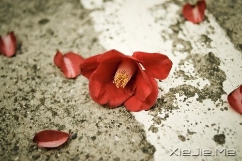Zഺʹsxo (9)