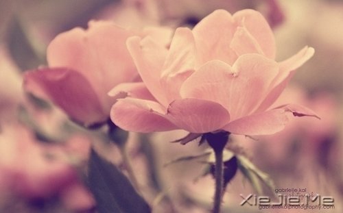 Z¸΢Ц挦 (3)