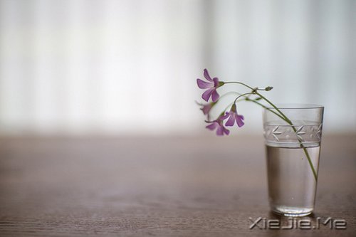 簲Z(y)oҲǏ(qing) (6)