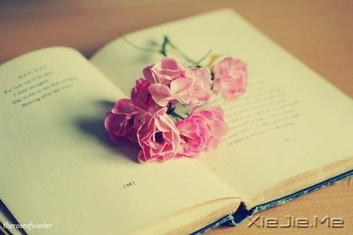 ZeԼ (1)