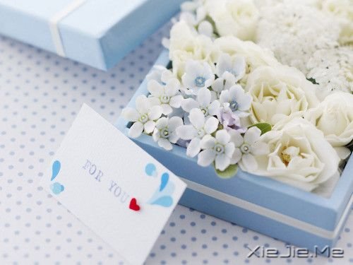 ZeԼ (2)