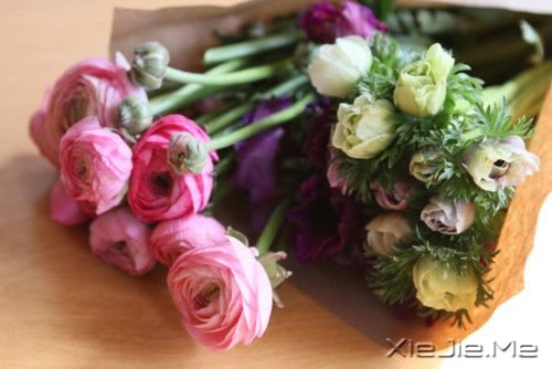 ZeԼ (3)