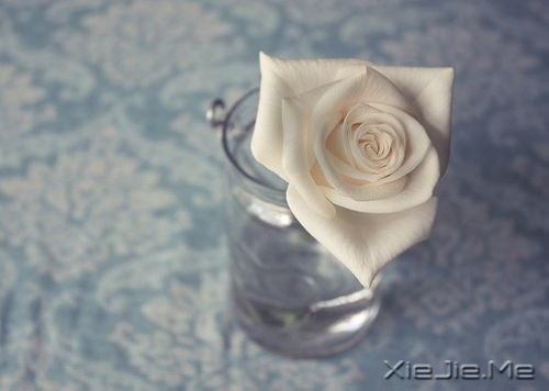 ZeԼ (8)
