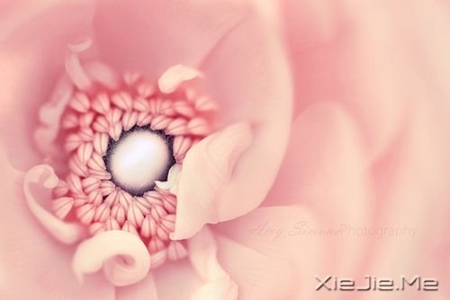 ZeԼ (9)