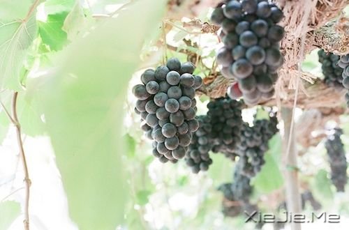 簲Zֻн(jng)ƽo@o挍(sh) (2)