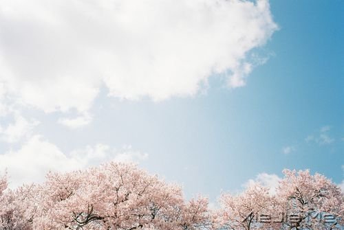 簲Zֻн(jng)ƽo@o挍(sh) (6)