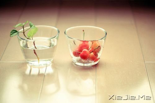 簲Z̫ȥЩõ (5)
