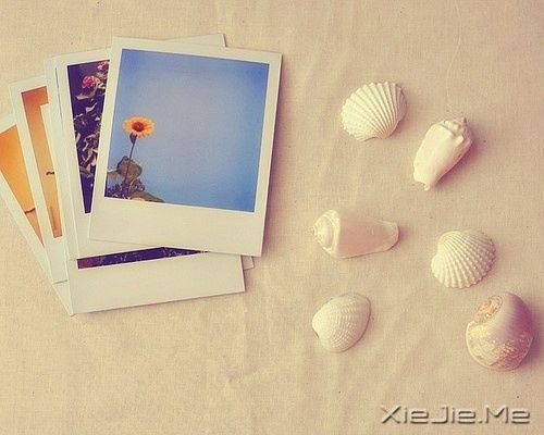 Zδ׃ֻ^҂׃øӈ(jin)(qing) (6)
