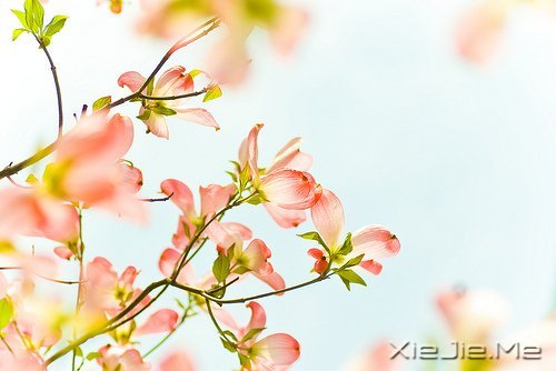 ϥҲ׌鱣r 