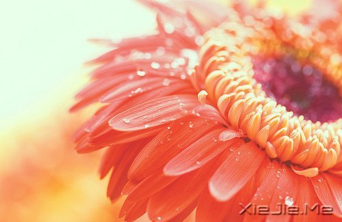 ˹£h(yun)Ҳh(yun)^(gu)