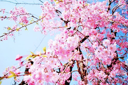 常常觀自心,便會(huì)更智慧 (1)