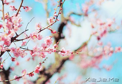 常常觀自心,便會(huì)更智慧 (6)