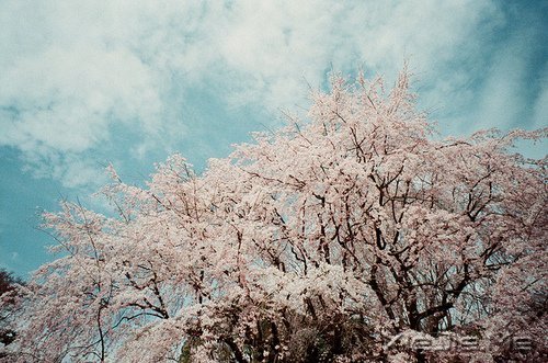 常常觀自心,便會(huì)更智慧 (3)