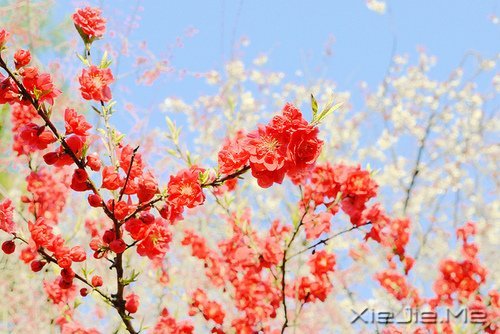 常常觀自心,便會(huì)更智慧 (5)
