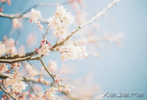 常常觀自心,便會(huì)更智慧 (7)