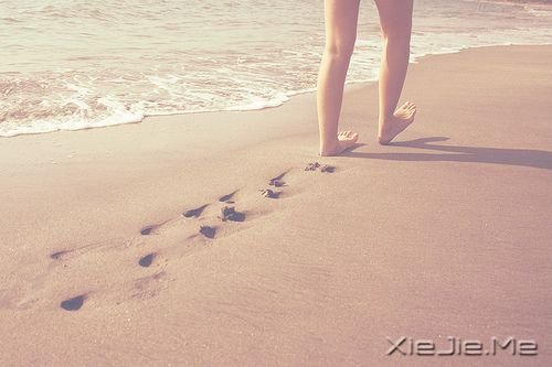 cexxx^ҵ