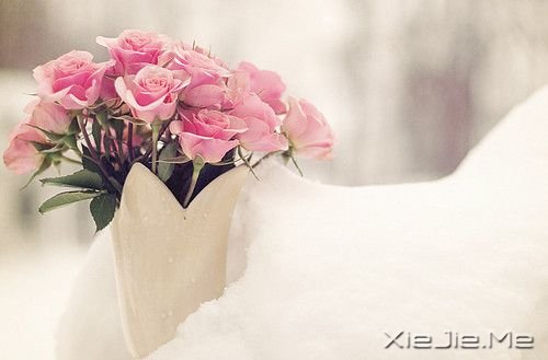 ׷һR܈(jin)ֵKc(din)ȟo