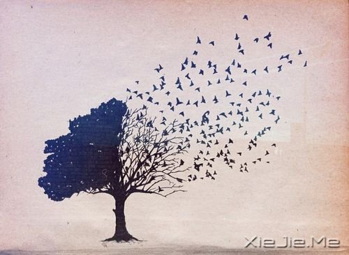 ֣ЁҪһØ (3)