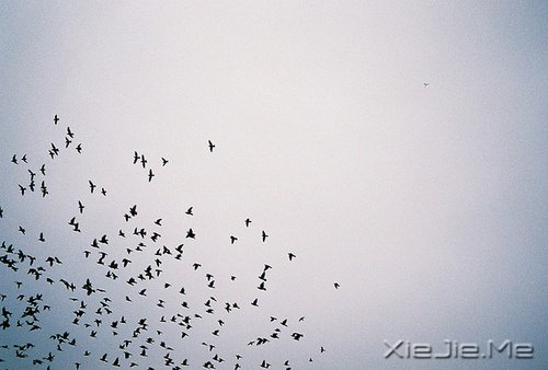 ֣ЁҪһØ (6)