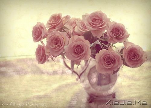 ğҲҪ¸挦(du)